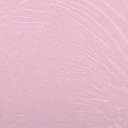 the album cover for Camron - Program [Clear Vinyl]