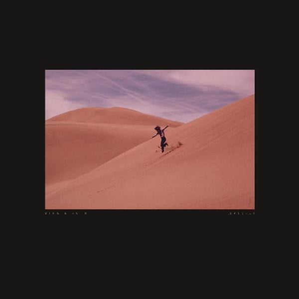 the album cover for Bing & Ruth - Species [LP]