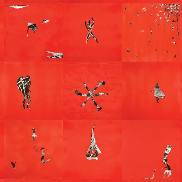 the album cover for Animal Collective - Hollinndagain [LP]