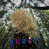 the album cover for Snarls - Burst [Colored Vinyl] [Limited Edition]