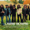 the album cover for Lynyrd Skynyrd - Icon [2LP]