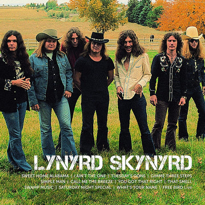 the album cover for Lynyrd Skynyrd - Icon [2LP]