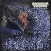 the album cover for Of Feather & Bone - Sulfuric Disintegration
