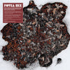 the album cover for Fovea Hex - Salt Garden (Clear Vinyl) (W/Cd) [Clear Vinyl]