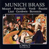 the album cover for Various Artists - Munich Brass