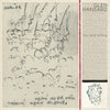 the album cover for Glen Hansard - This Wild Willing [LP]