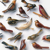 the album cover for Kishi Bashi - Omoiyari [LP]