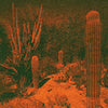 the album cover for Cameron Knowler  / Winter,Eli - Anticipation [Colored Vinyl] (Purp) [Indie Exclusive]
