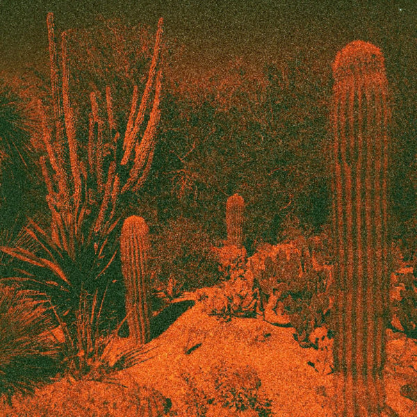 the album cover for Cameron Knowler  / Winter,Eli - Anticipation [Colored Vinyl] (Purp) [Indie Exclusive]