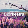 the album cover for Travis Sullivan's Björkestra - Hyperballad / Venus As A Boy