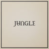the album cover for Jungle - Loving In Stereo [LP]
