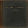 the album cover for Joshua Radin - The Ghost and the Wall [LP]