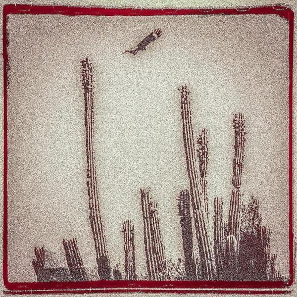 the album cover for Alejandro Escovedo - La Cruzada [Bone White 2LP]