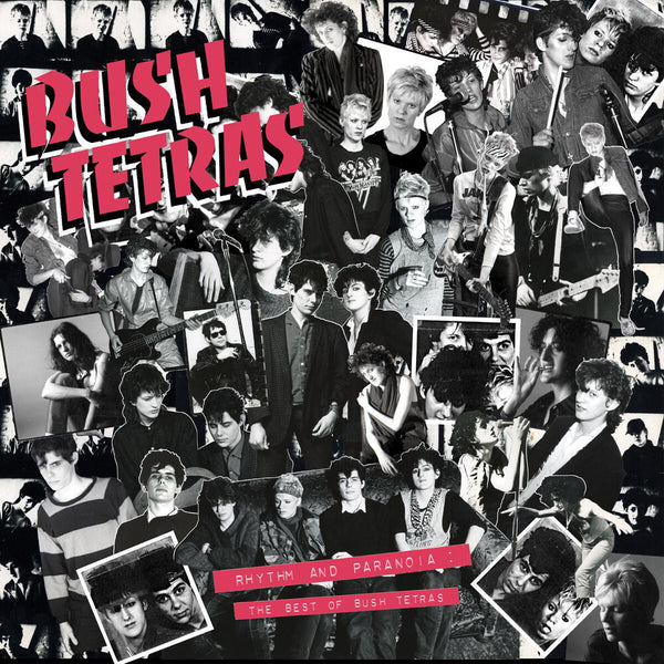 the album cover for Bush Tetras - Rhythm & Paranoia: The Best Of Bush Tetras