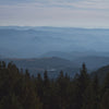 the album cover for Maybeshewill - No Feeling Is Final (Blue Vinyl) (Blue) [Colored Vinyl]