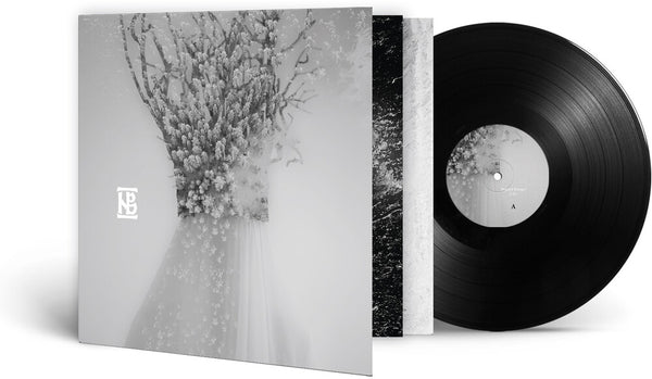 the album cover for Negura Bunget - Zau (Gate) [180 Gram]