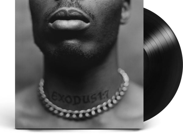 the album cover for DMX - Exodus [LP]
