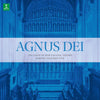 the album cover for Choir Of New College Oxford / Higginbottom.Edward - Agnus Dei [180 Gram]