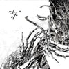 the album cover for Negura Bunget - Virstele Pamintului