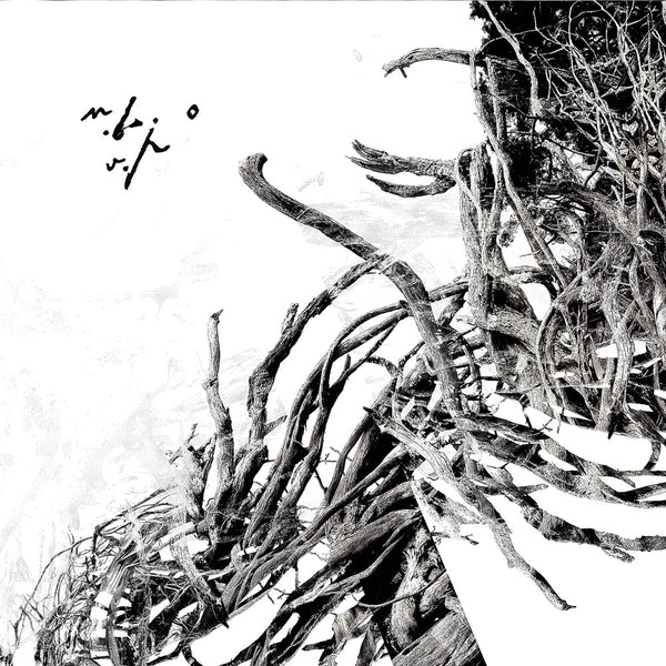 the album cover for Negura Bunget - Virstele Pamintului