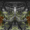 the album cover for Architects - Ruin (Can)
