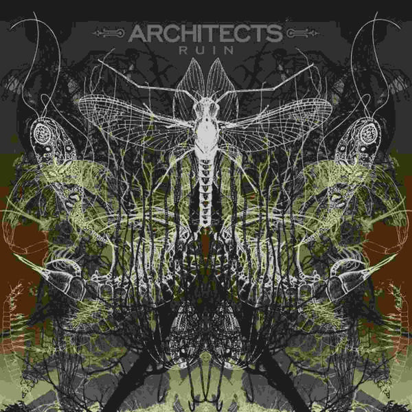 the album cover for Architects - Ruin (Can)