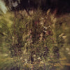 Pluralone - Across The Park B/W Sevens [Vinyl Single] - Pale Blue Dot Records