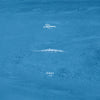 the album cover for Kauan - Pirut Live [Limited Edition] [Remastered]