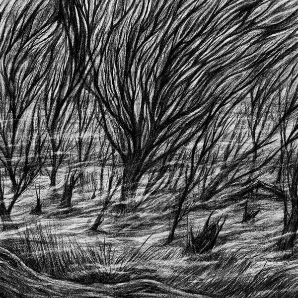 the album cover for Bismuth - The Eternal Marshes