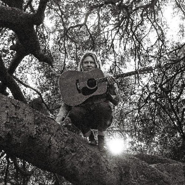 the album cover for Ty Segall - Hello, Hi [LP]