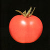 the album cover for Chronophage - Chronophage [LP]