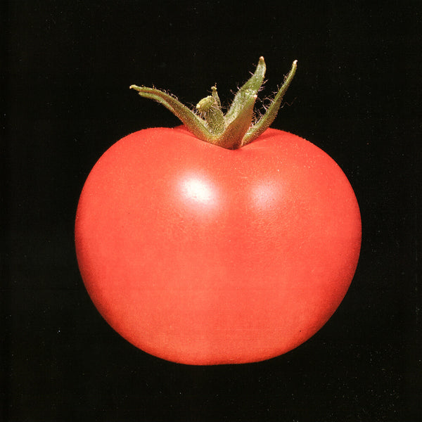 the album cover for Chronophage - Chronophage [LP]