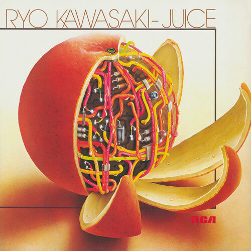 Ryo Kawasaki - Juice (Vinyl LP) - Pale Blue Dot Records