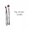 the album cover for Secret Stars - The Secret Stars