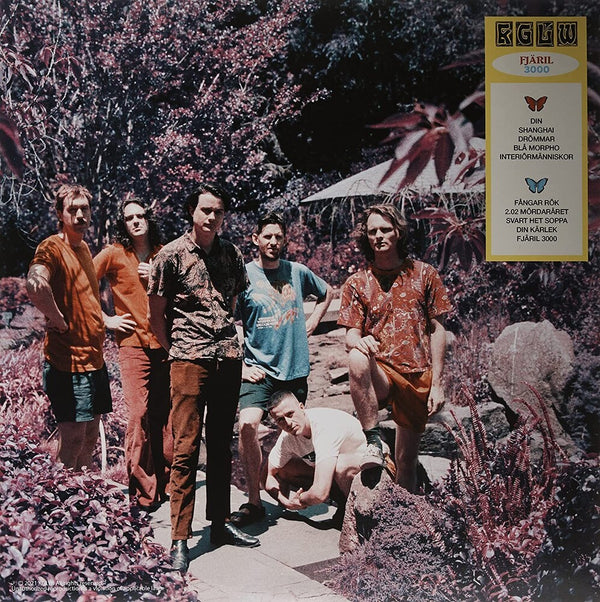 the album cover for King Gizzard & The Lizard Wizard - Butterfly 3000 [Indie Exclusive Limited Edition Swedish LP]