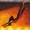 the album cover for Various Artists - Beleza Tropical (Various Artists)