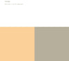the album cover for Alva Noto & Ryuichi Sakamoto - Revep