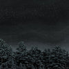 the album cover for Besnard Lakes - Besnard Lakes Are The Prayers For The Death Of