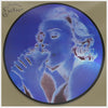 the album cover for Madonna - Erotica: Remasterd [Picture Disc Single]