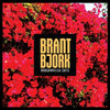 the album cover for Brant Bjork - Bougainvillea Suite