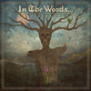 the album cover for In the Woods... - DIVERSUM