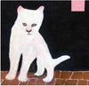 the album cover for Duster - Duster (Uk)