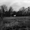 the album cover for Flatsound - When You Run Away, Do You Close Your Eyes (Blk)