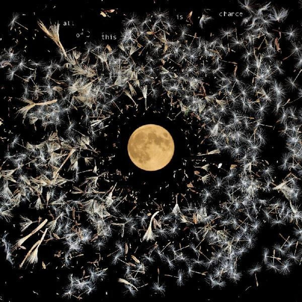 the album cover for Lisa O'Neill - All Of This Is Chance [LP]