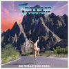 the album cover for Freeroad - Do What You Feel!