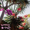 the album cover for Summer Salt - Campanita [Colored Vinyl] (Pnk)