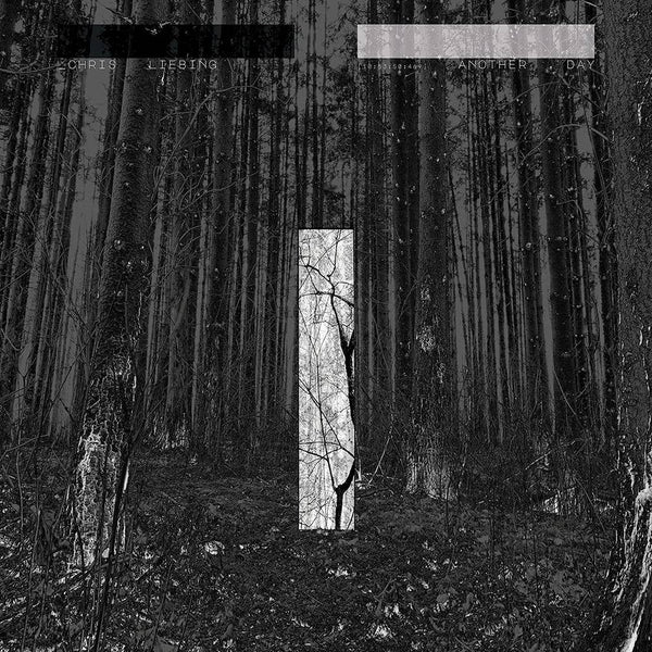the album cover for Chris Liebing - Another Day [LP]