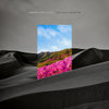 the album cover for Taboo - Taboo [Indie Exclusive Limited Edition Red LP]