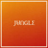 Jungle - Volcano [LP] - Pale Blue Dot Records