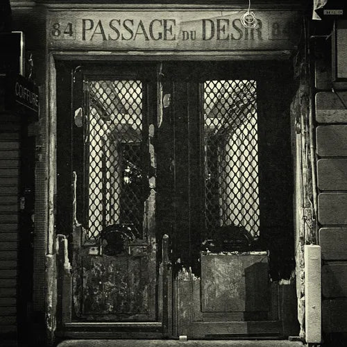 Johnny Blue Skies - Passage du Desir (Vinyl LP) - Pale Blue Dot Records